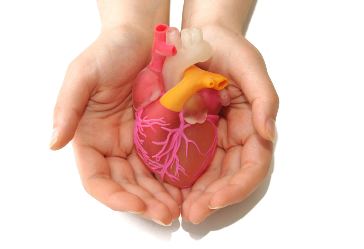 new port richey mitral valve heart repair replacement
