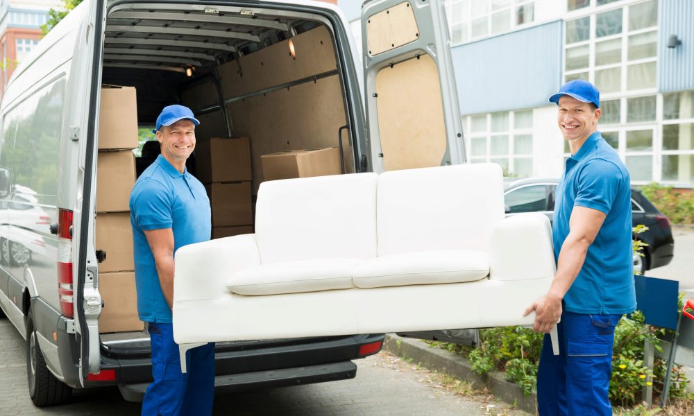 hire professional mover