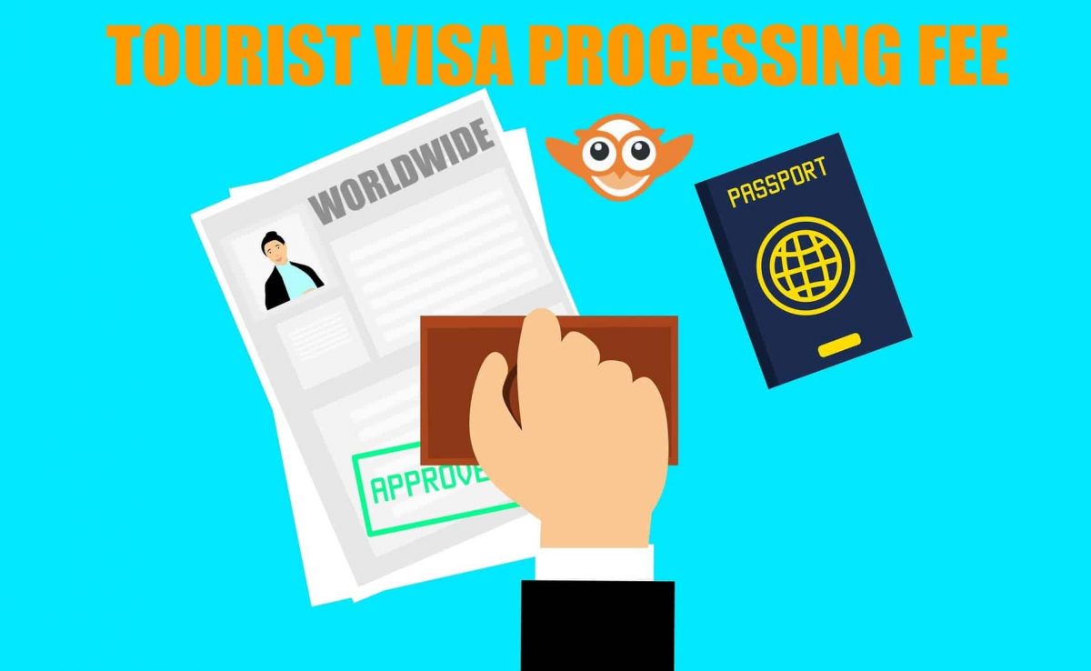 Xử lý visa