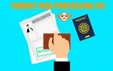 معالجة التأشيرة