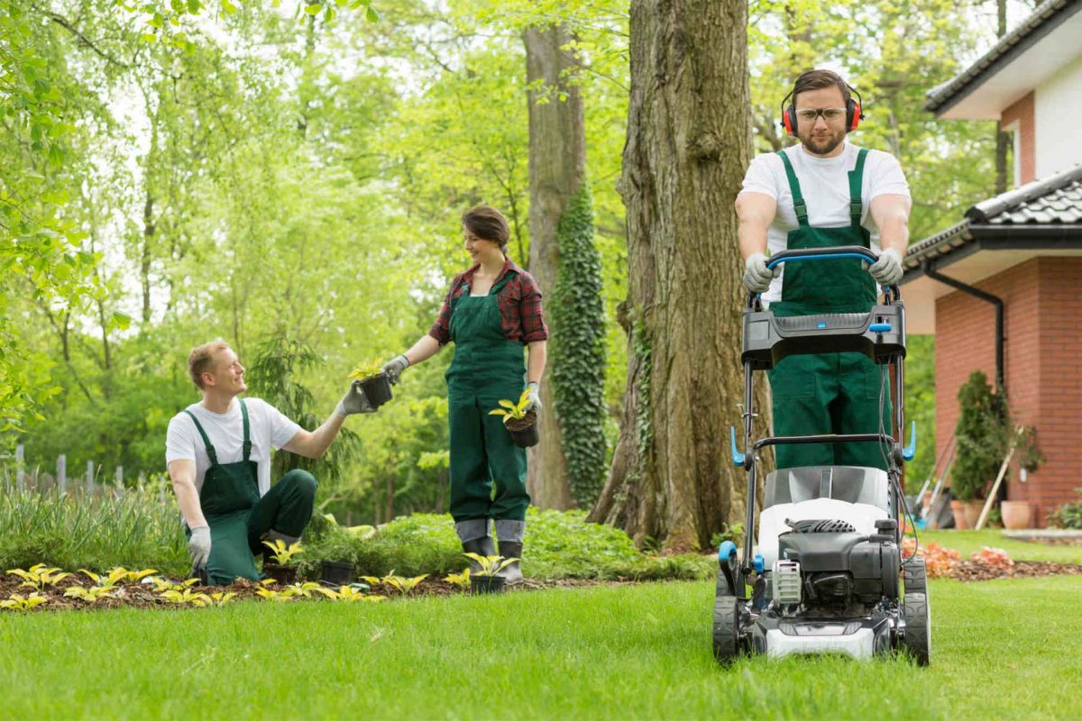 Lawn Care Services