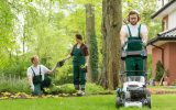 Services d'entretien de pelouse