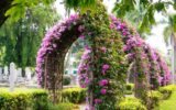 Secrets of Singapore Best Hidden Things to Do